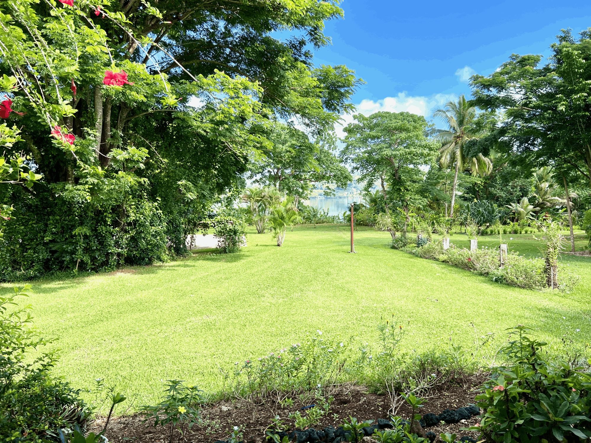 View from the Restaurant